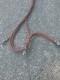 Air Tools Pneumatic Or Hydraulic Fluid Hoses
