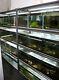 Fish Shrimp Tanks With Heavy Duty Racks Air Pump Tools Etc Full Set Up & Extras