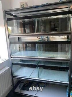 Fish Shrimp Tanks with Heavy Duty Racks Air Pump Tools etc Full Set Up & extras