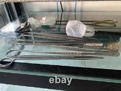 Fish Shrimp Tanks with Heavy Duty Racks Air Pump Tools etc Full Set Up & extras