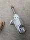 Ingersoll Rand 1 Drive Impact Drive Air Tool 285b-6