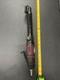 Matco Tools Mt3872rl Reversible Extended Pneumatic Cut Off Tool-burgundy C58