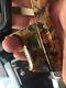 Used Sata Jet 4000 B Rp 1.3 Digital Camo Special Edition. Excellent Condtion
